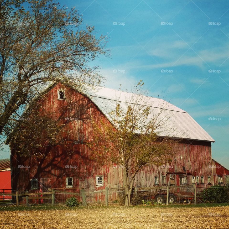 barn