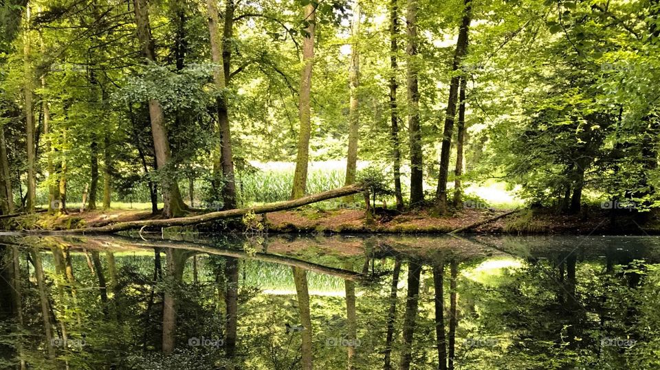 Steibachweiher 
