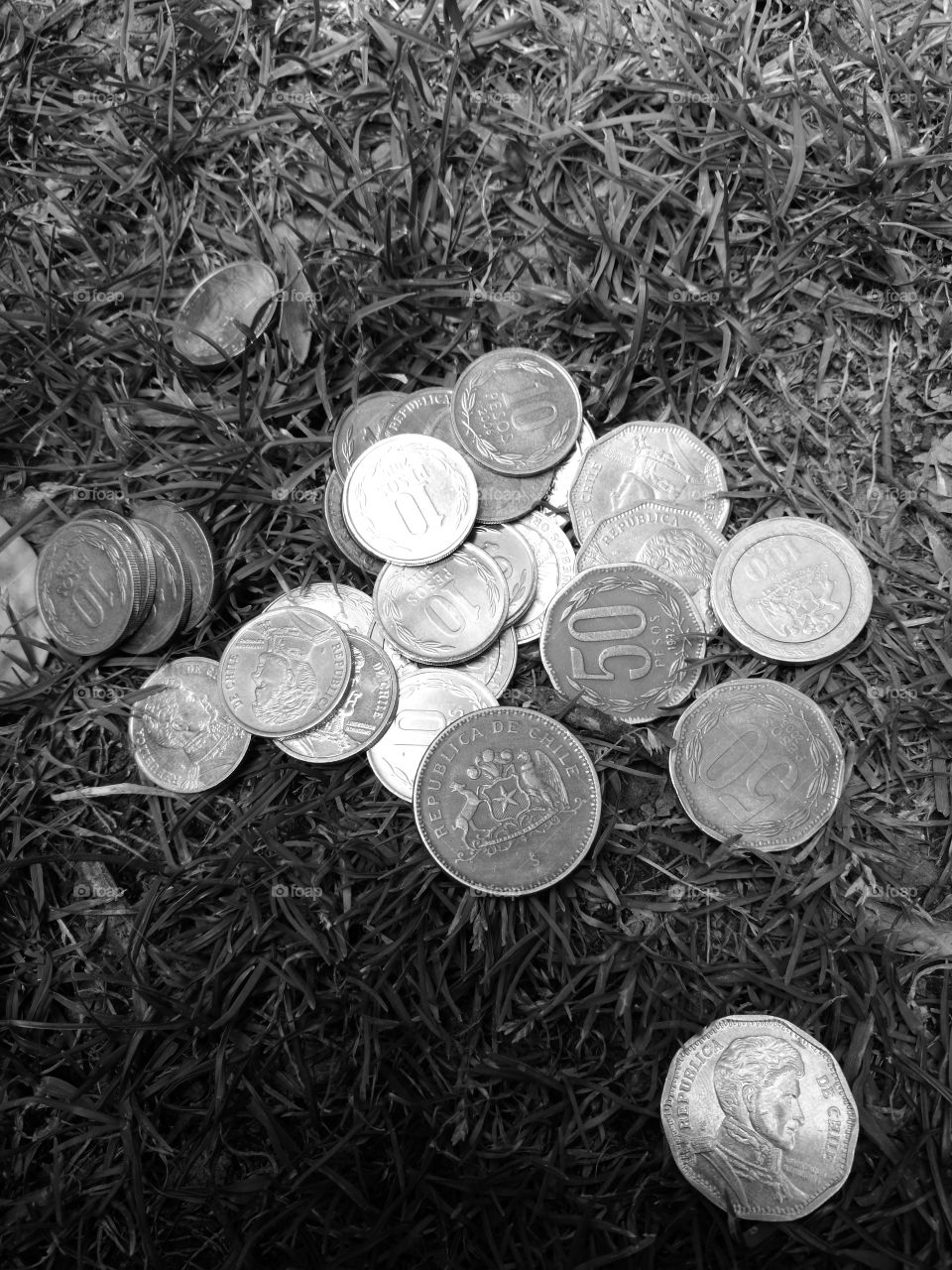 Monedas en el pasto