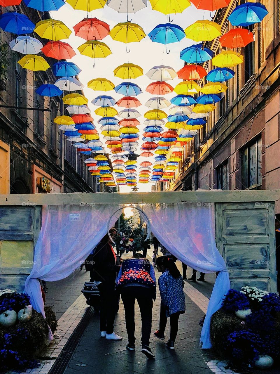 colored umbrella