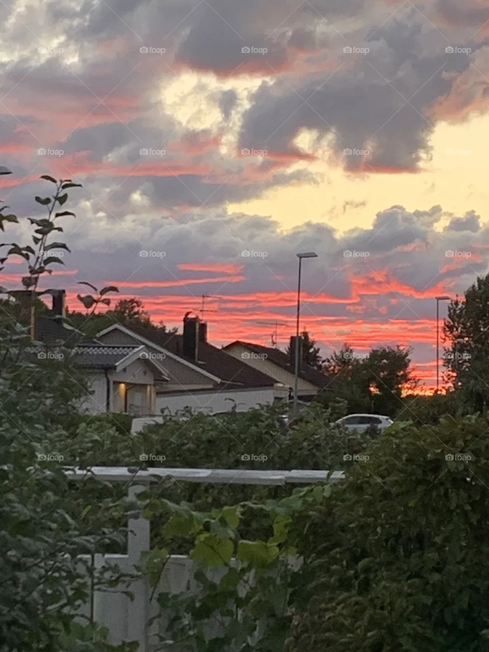 Red sunseth 