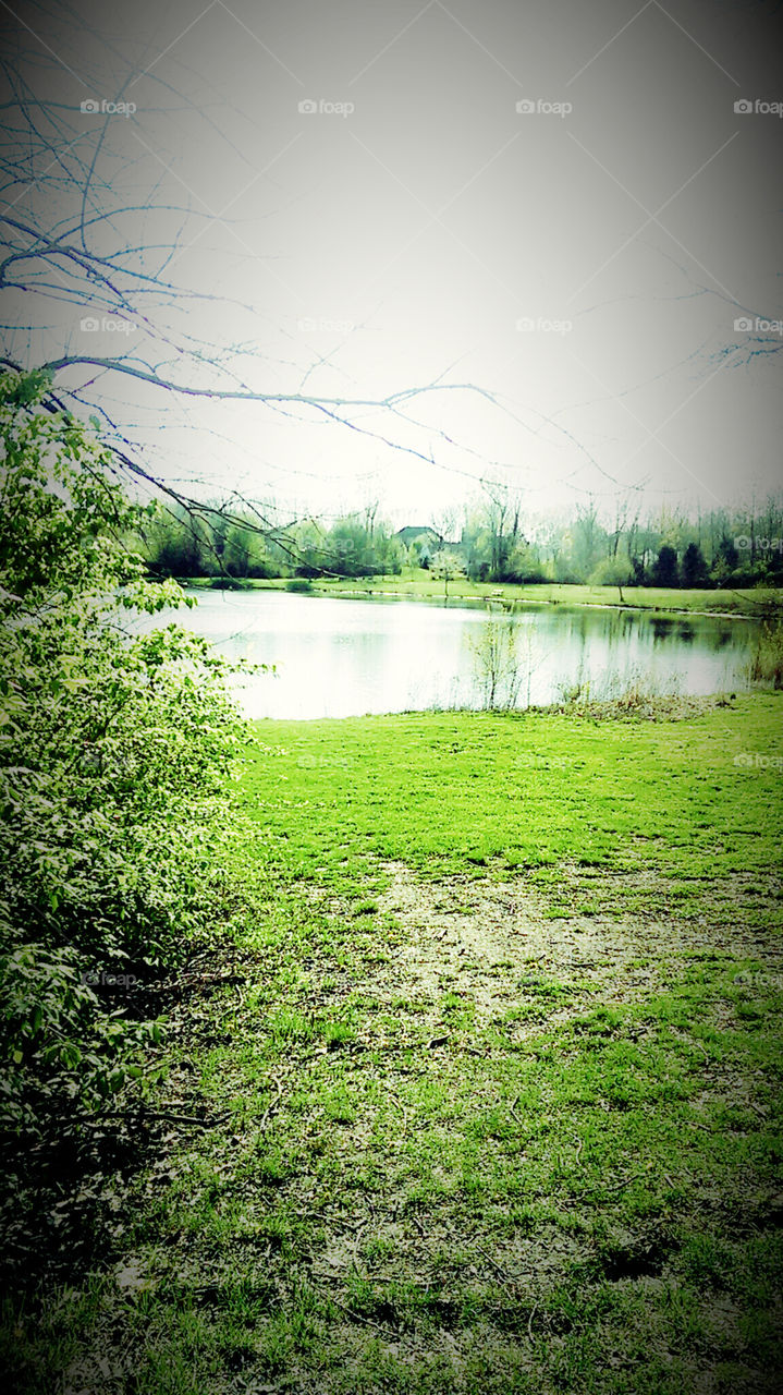 Pretty pond. Nature walk