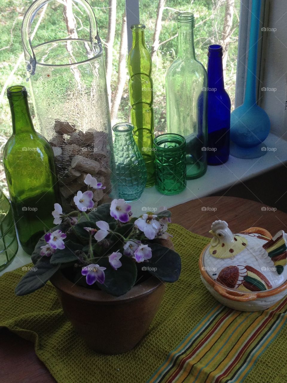 Grandma's violets.