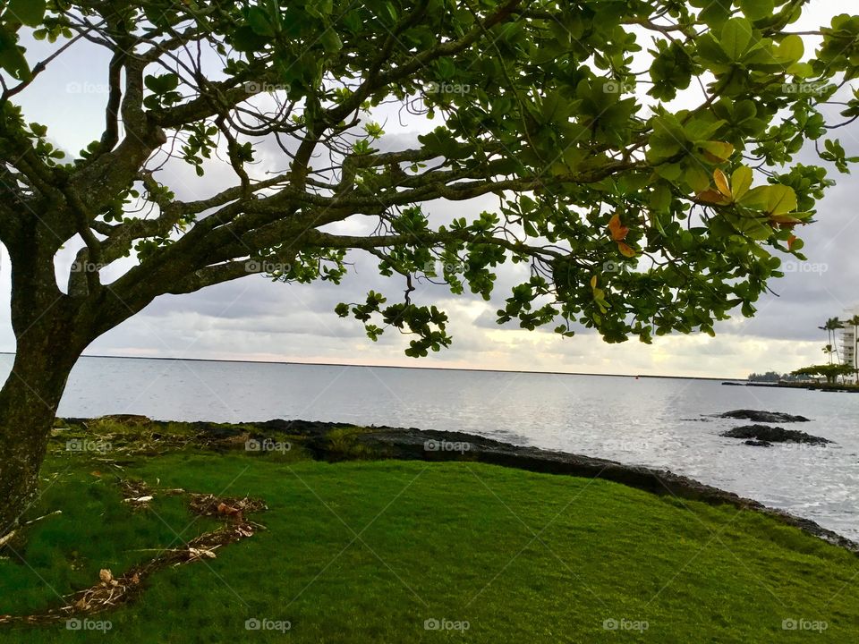 Hilo Bay as the rises through the clouds