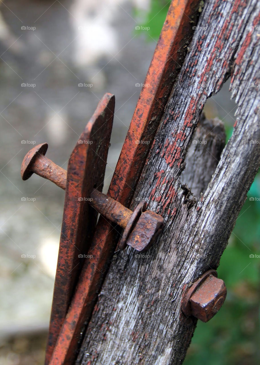 wood rust decay nut by Garbonzobean