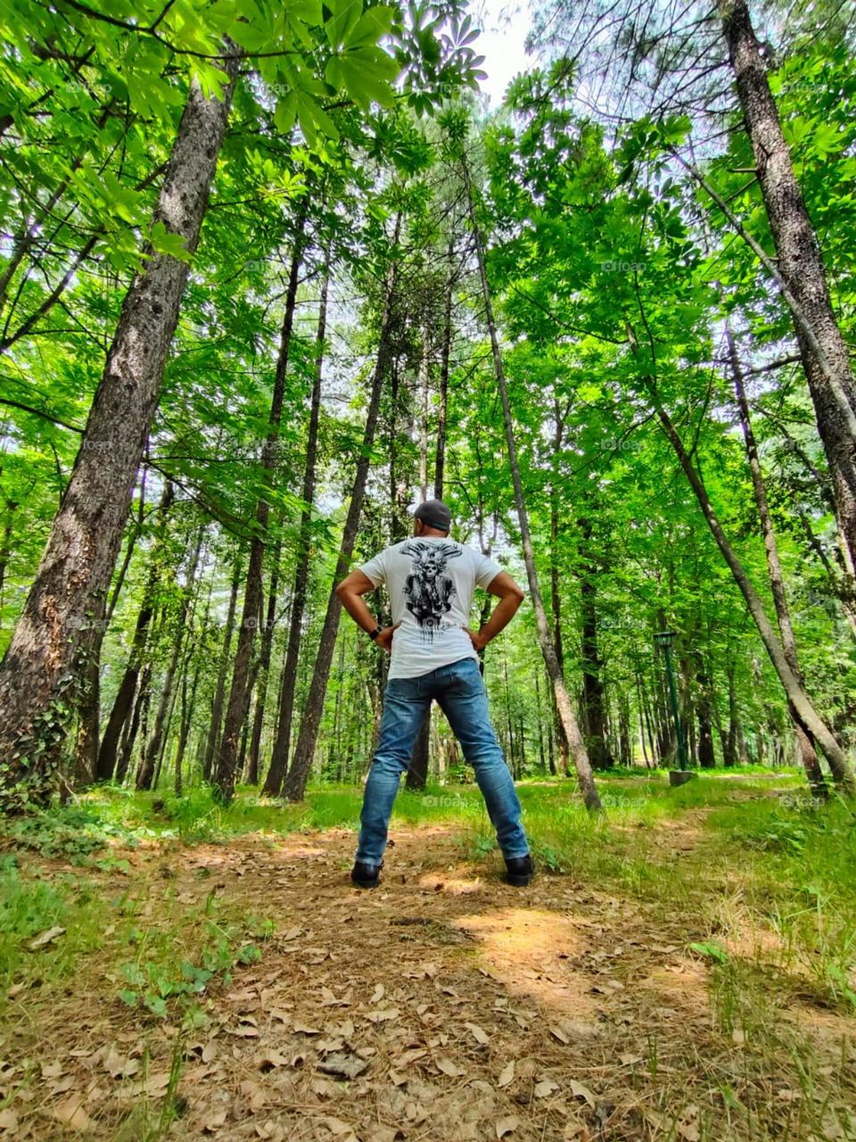 Lone walk in lush green jungle