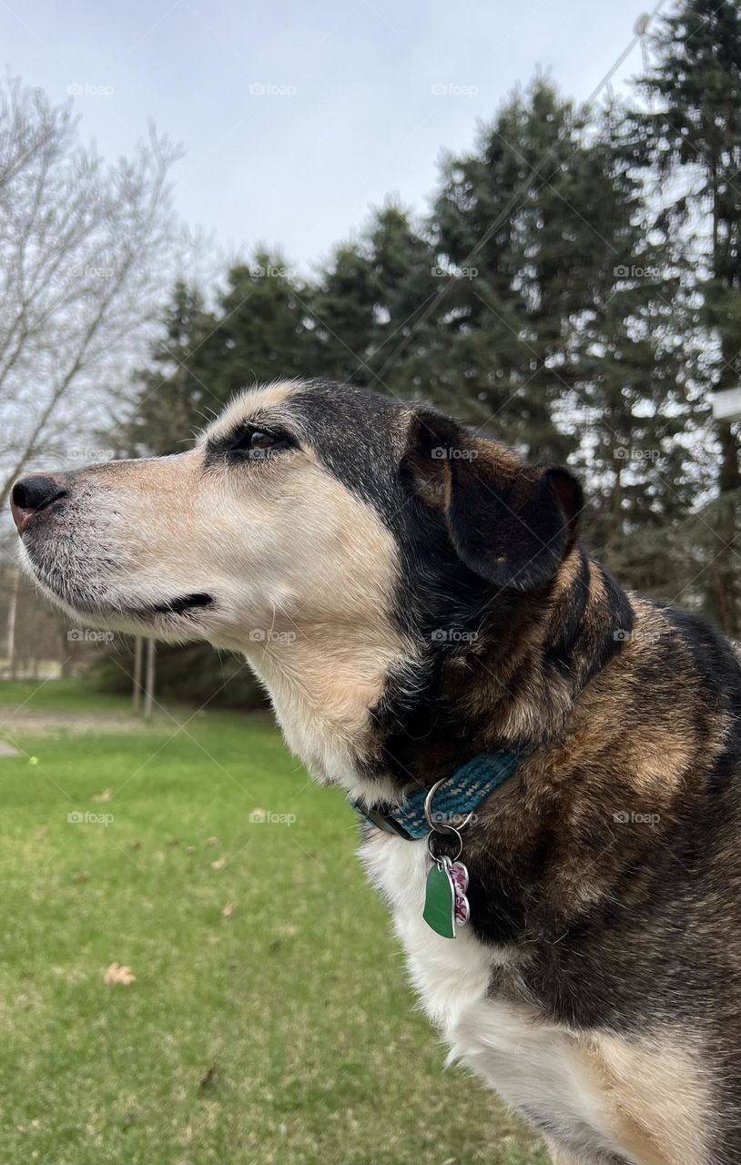 Enjoying the smells outside