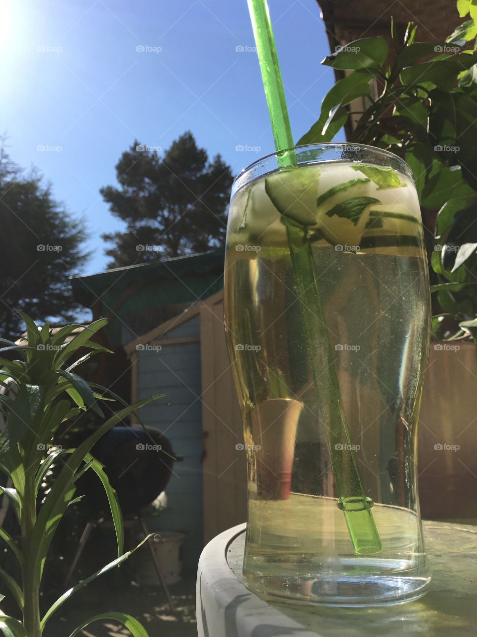 Elderflower fizz drink with cucumber, mint leaves and ice in a glass on a table in the garden sign lily plant, stephanotis plant, pine trees and garden shed in background 
