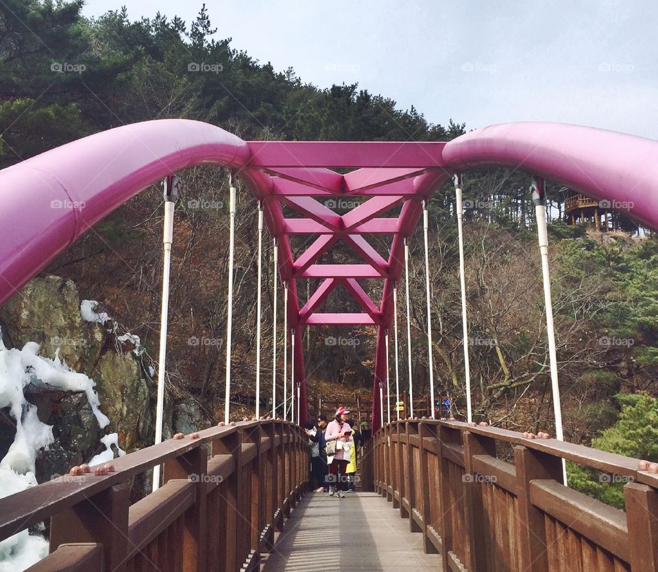 Pink bridge