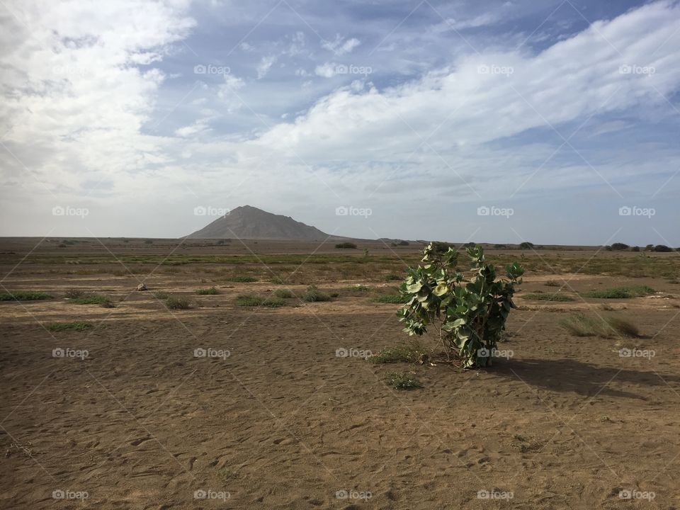 Terra Boa Cape Verde