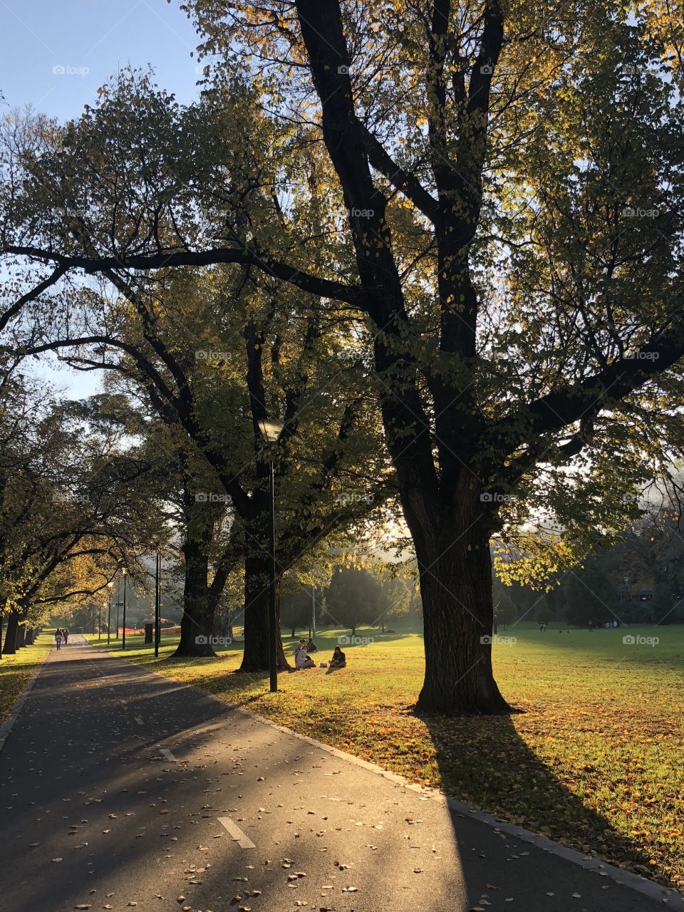 Parkland path