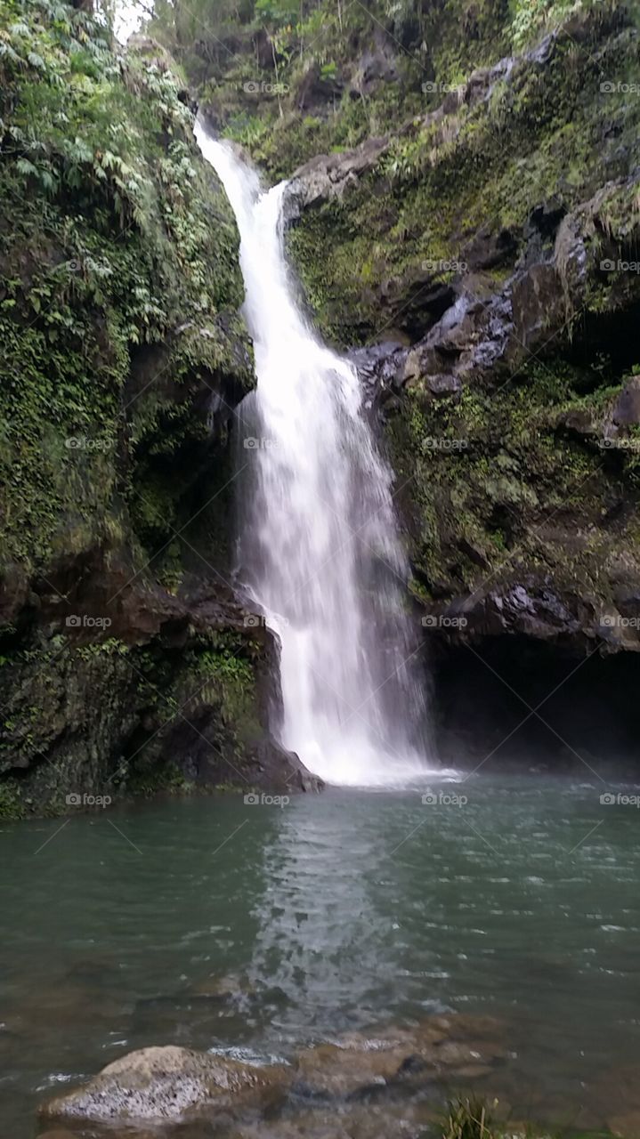 Waterfall wonderland