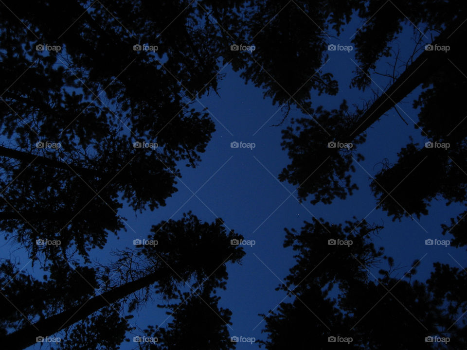 Camping is such a great experience especially when the stars are bright 