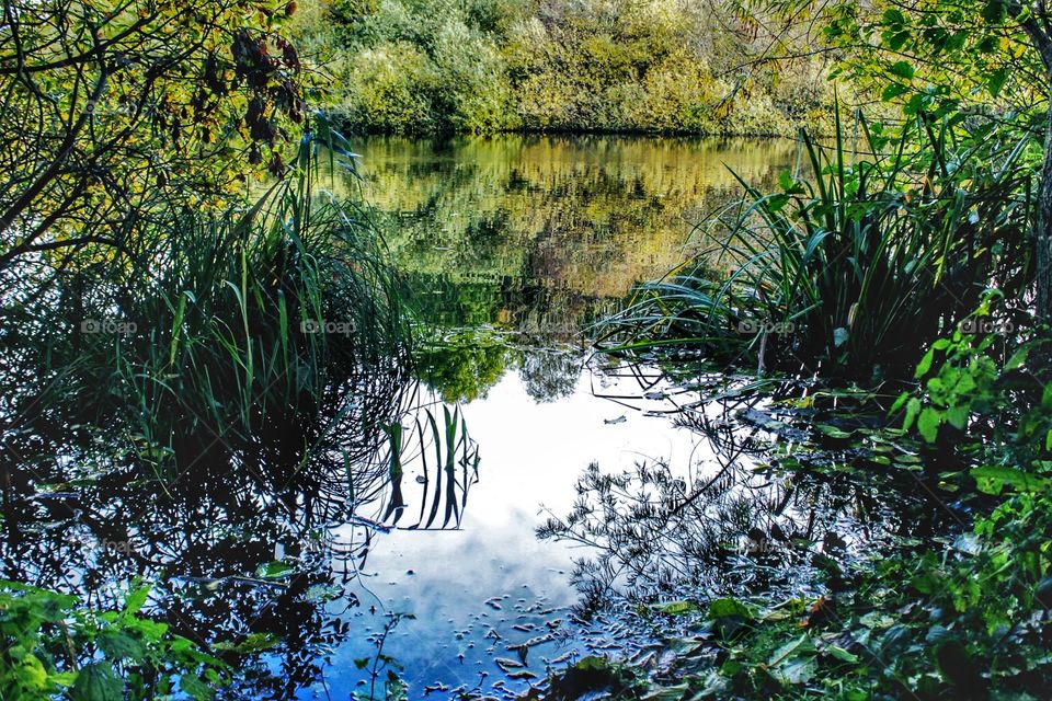 Refleksion in the lake