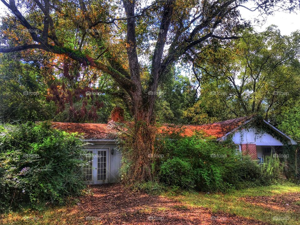 Oops I did it again... I thought this house was abandoned- until I walked up to their front door and heard footsteps- then the window unit air conditioner cut on...😳