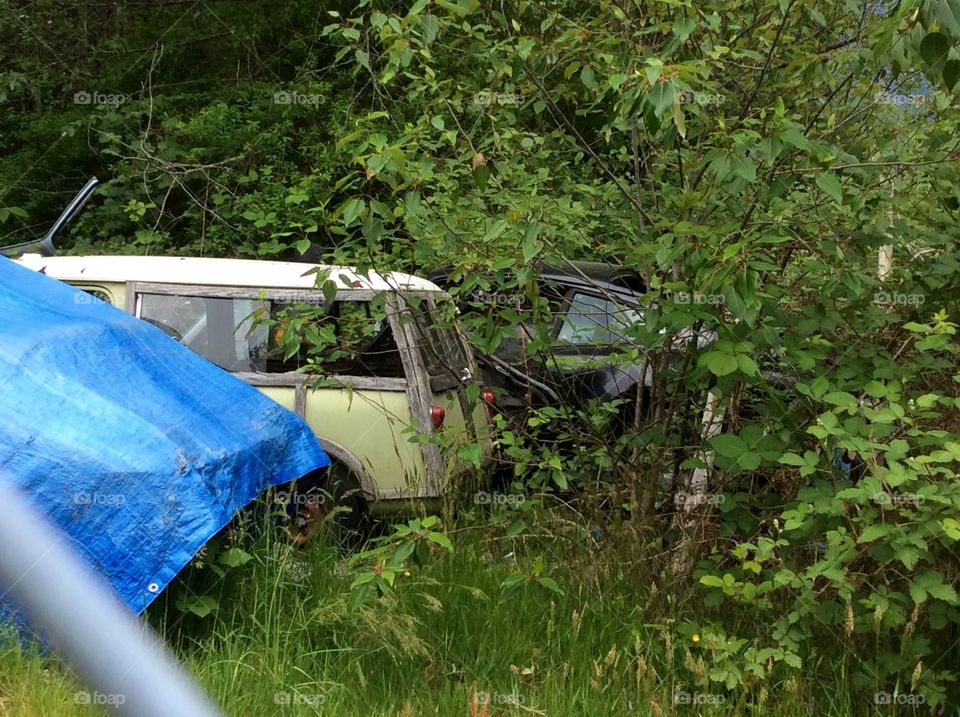 Abandoned Mini Cooper Woody Wagon. Abandoned Mini Cooper Woody Wagon