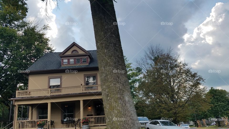 No Person, Home, Architecture, Tree, House