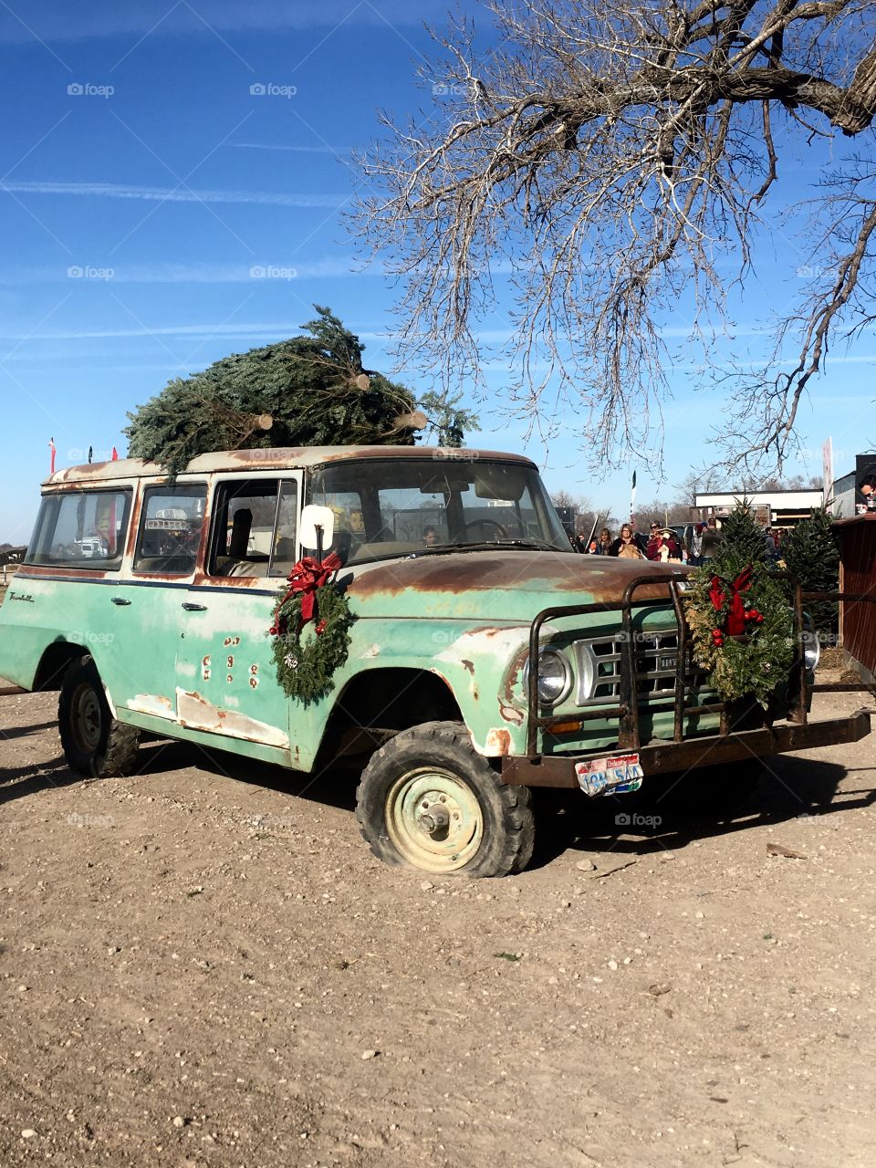 Green vintage station wagon with Christmas tree on top.