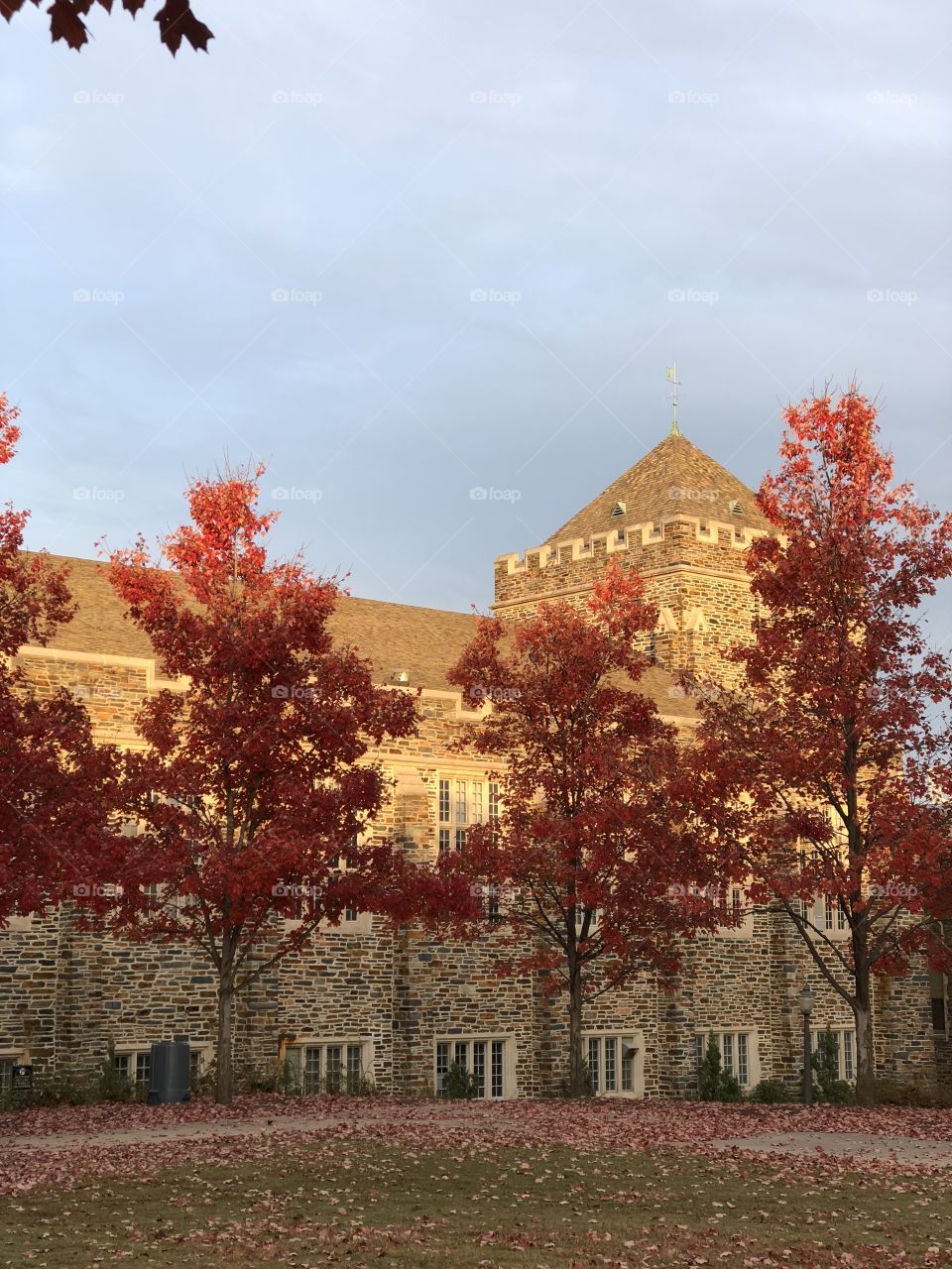 Duke Campus 