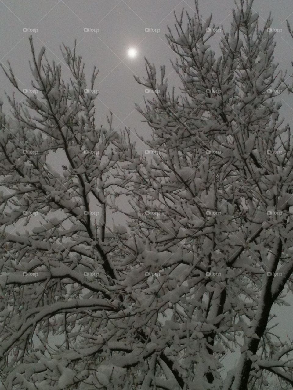 Snowy morning in Denver