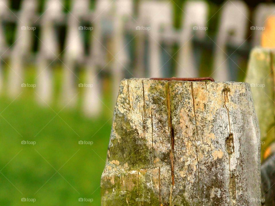 old fence