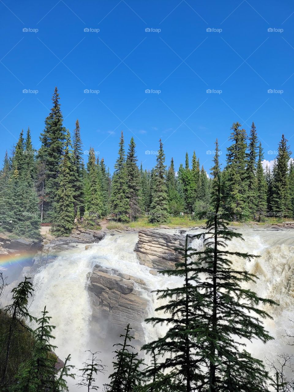 beautiful nature,  gorgeous waterfall