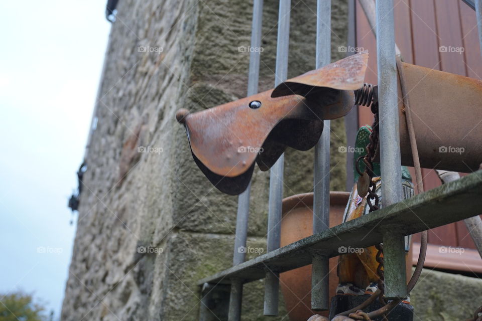 Cute dog sculpture .. funny .. head wobbled in the breeze :)