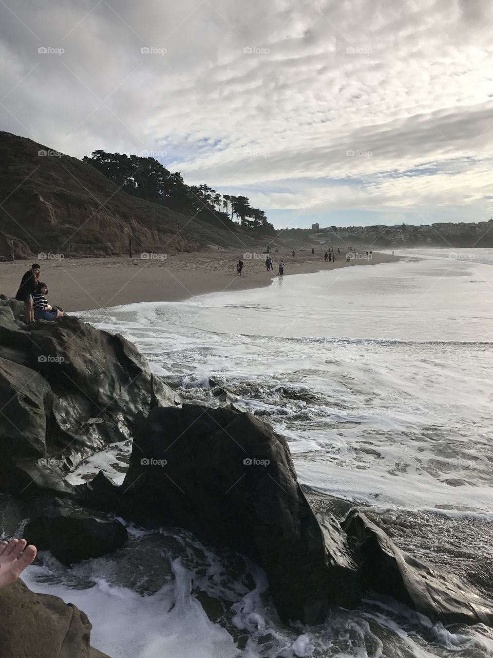 Beach at san Francisco bay