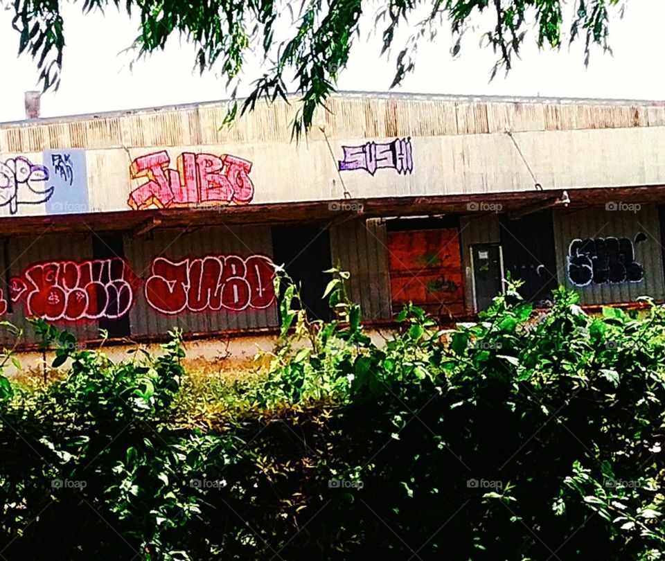 photograph of a graffiti