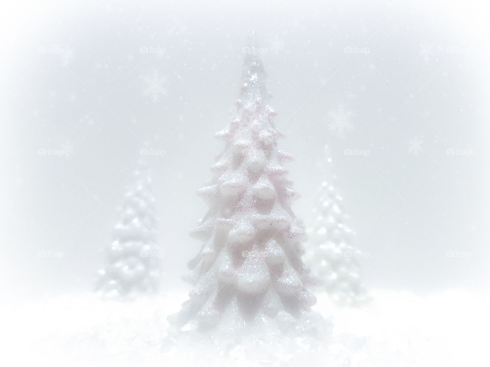 White Christmas: three snow covered trees with white snowflakes on a white background