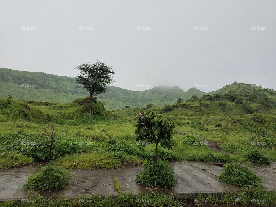 Landscape Mode 📷
Rainy season ☔☔
Clouds💭🗯️ on Mountain🗻
🌿🍀🌱🌴