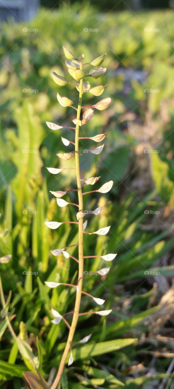 Stand out from the crowd