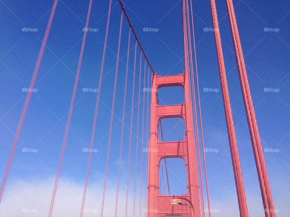 San Francisco. Golden Gate bridge