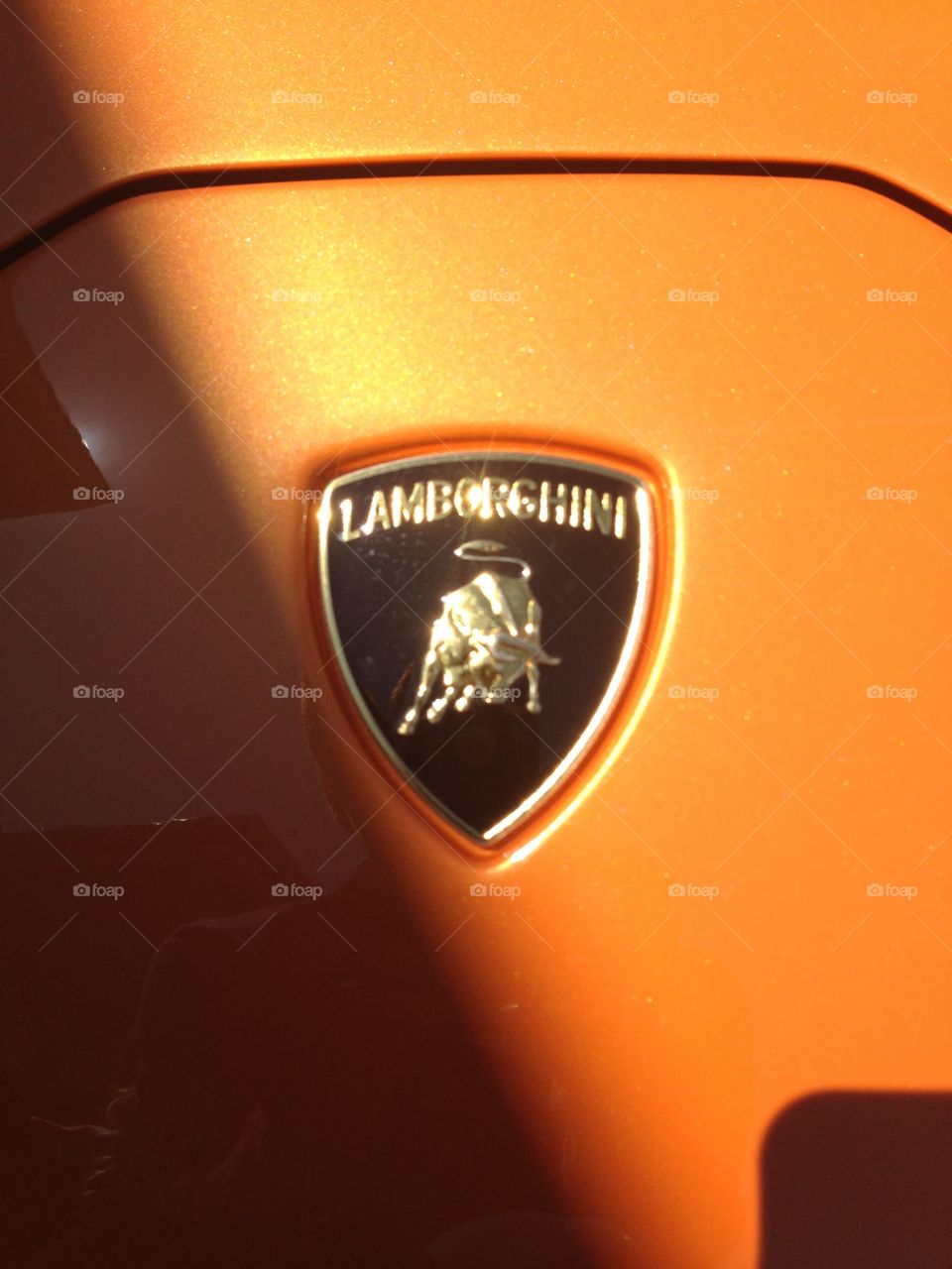 Orange Lamborghini emblem