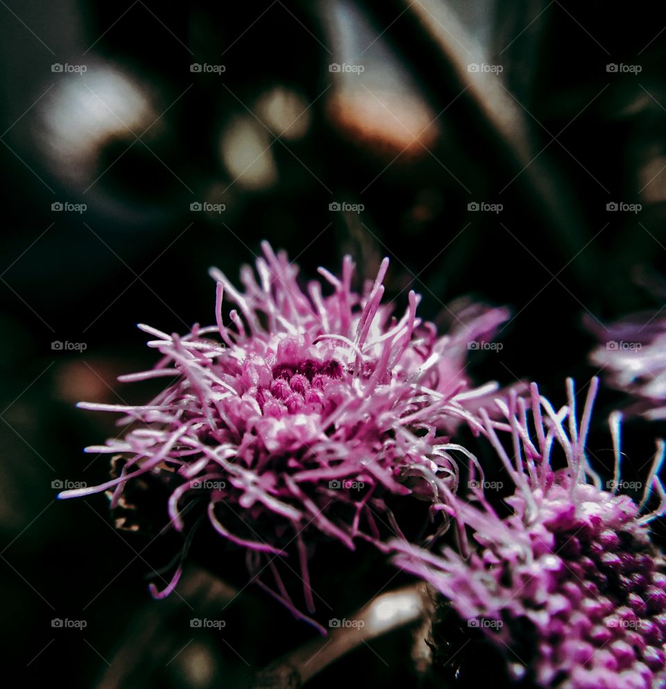 signs of spring🌱🌷🌸