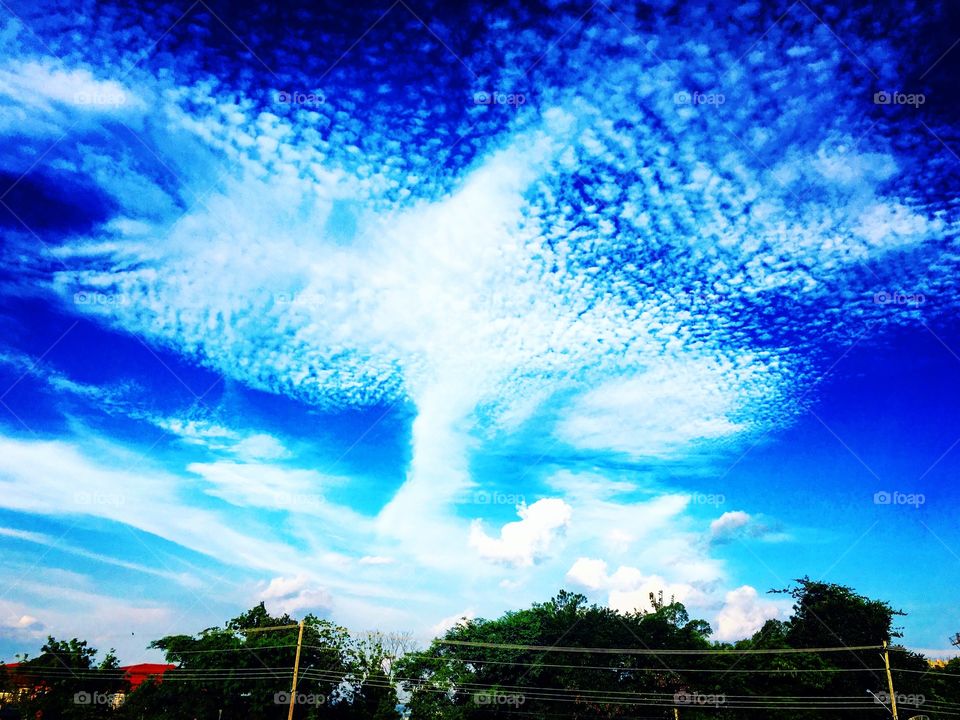 Oh-oh!
Hora do #almoço e eis que encontro uma #nuvem em forma de #pomba. 
A #Natureza é divertida, não?
