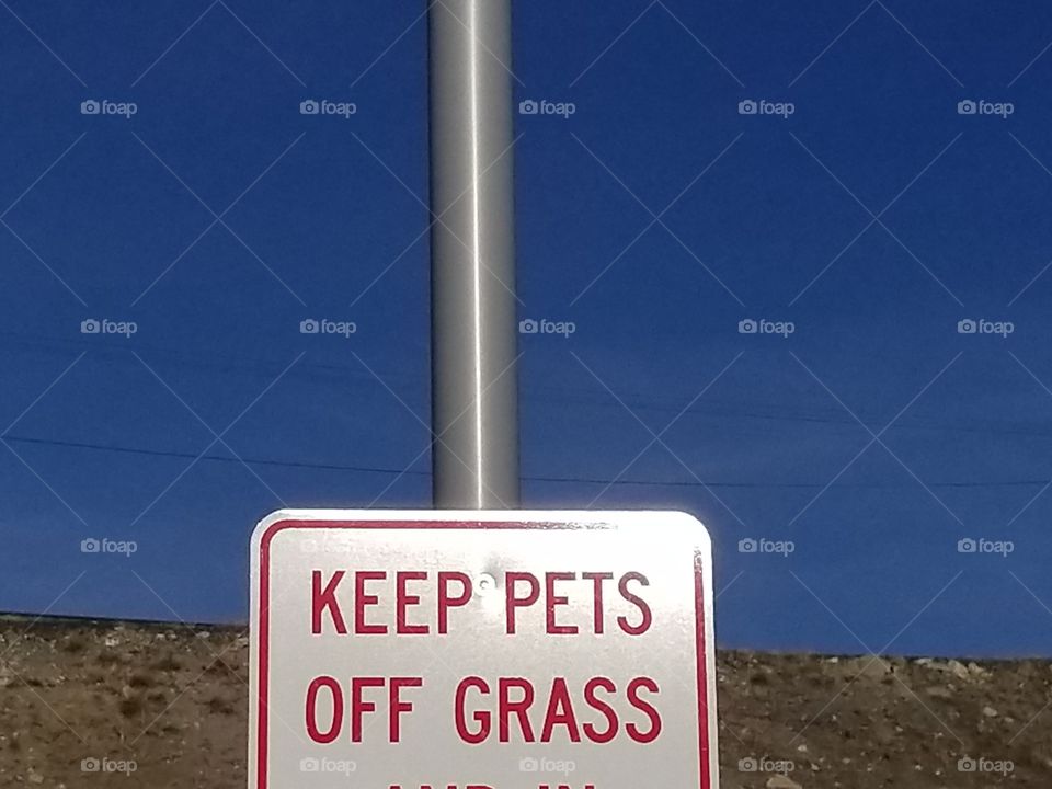 keep pets off drugs