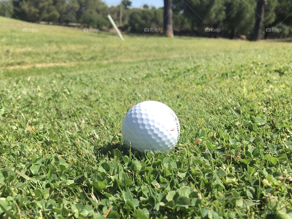 White golf ball on green