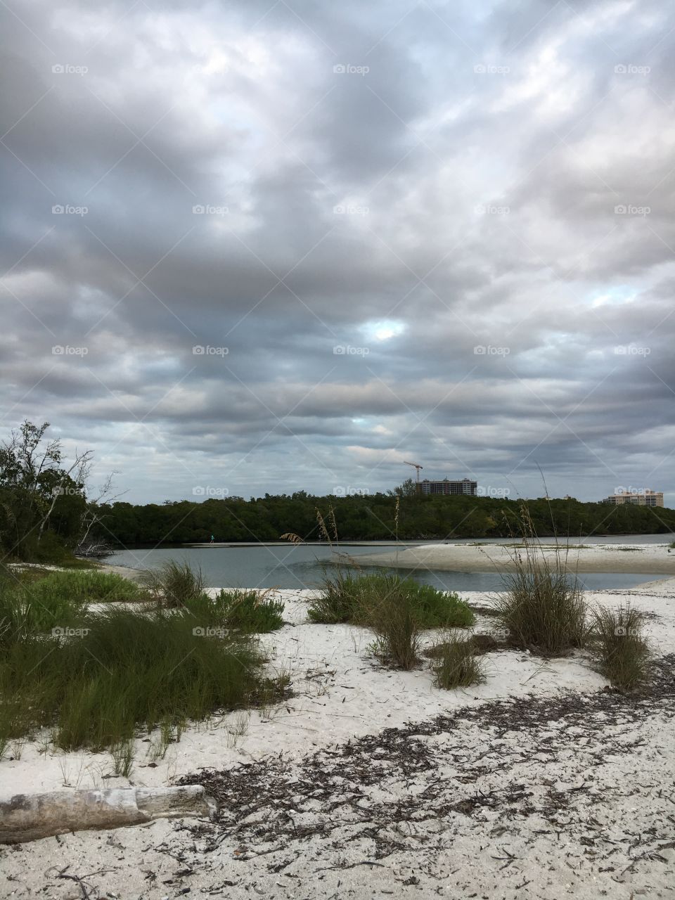 Scenic view of nature