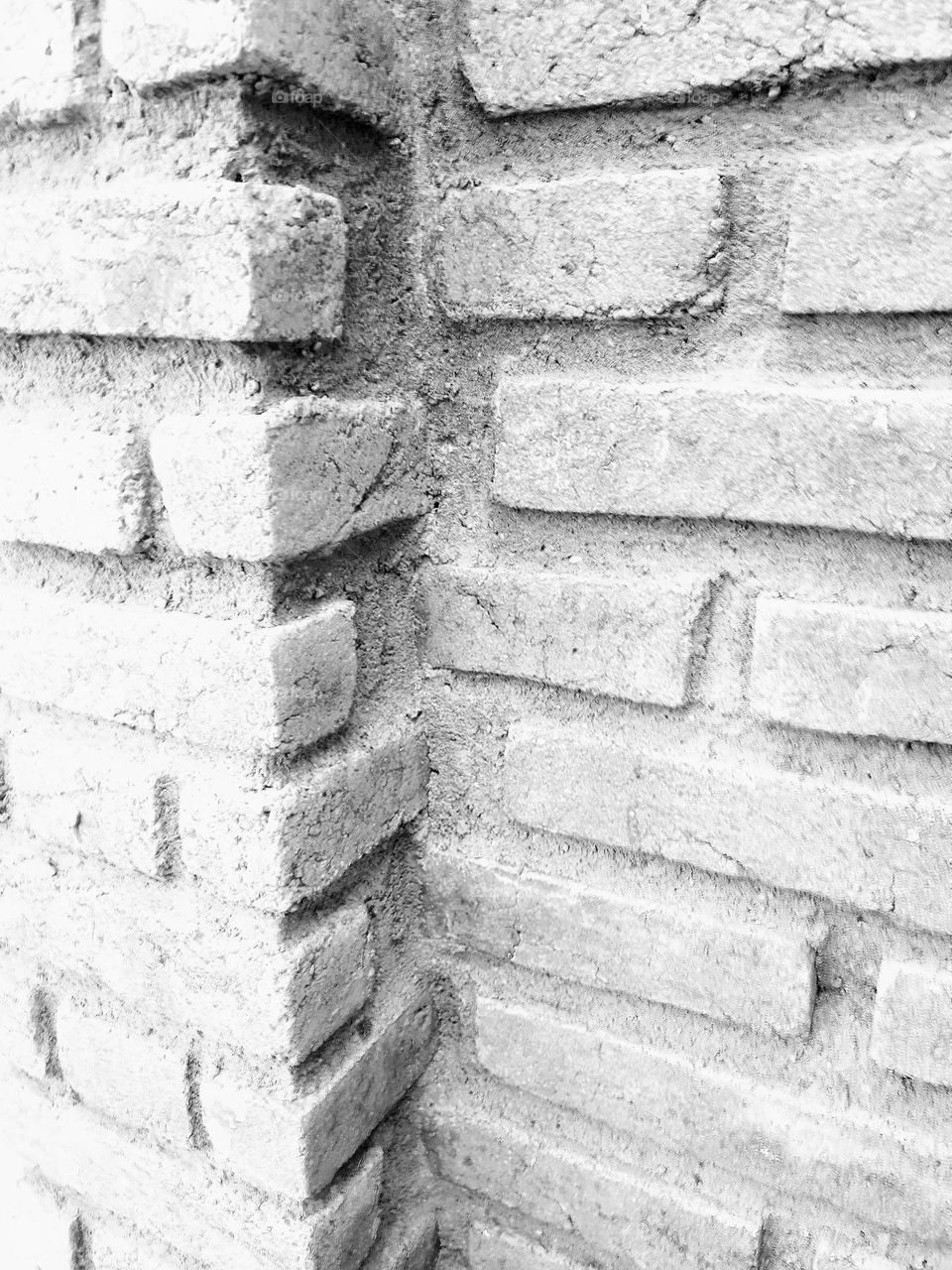 Geometry Series: Rectangle