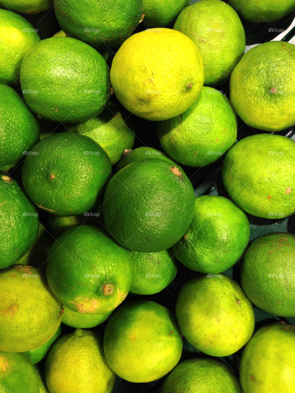 m x green drink by lexlebeur