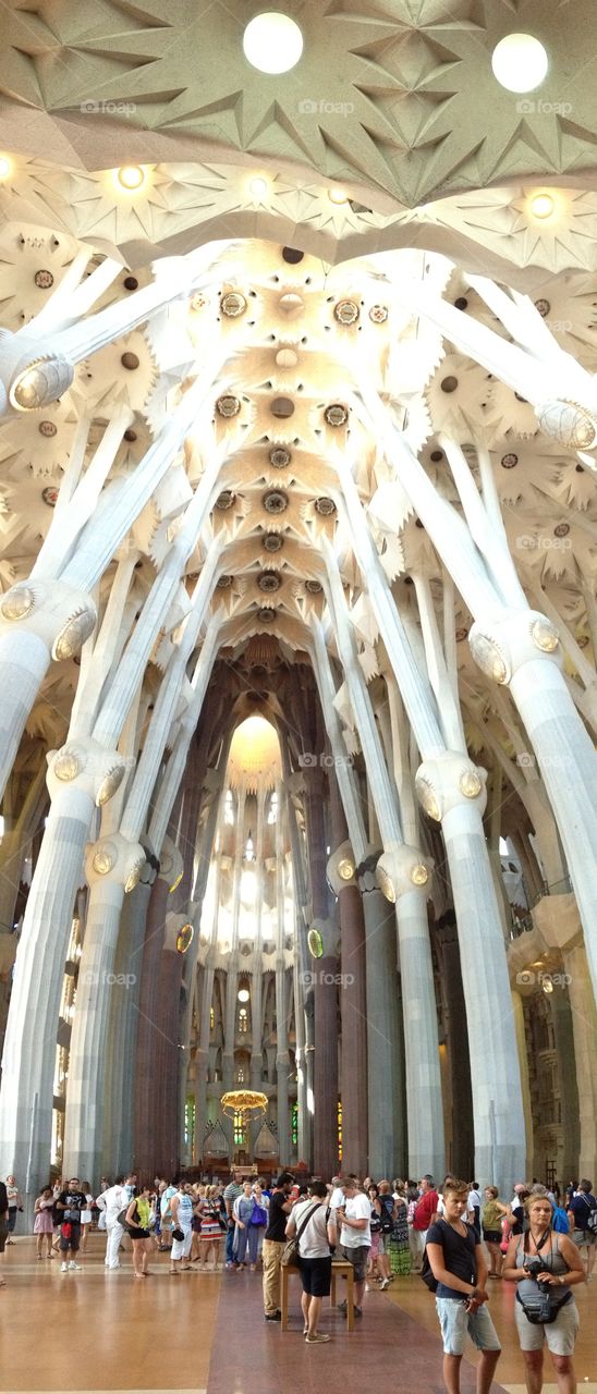 Inside Sagrada Familia in Barcelona, Spain