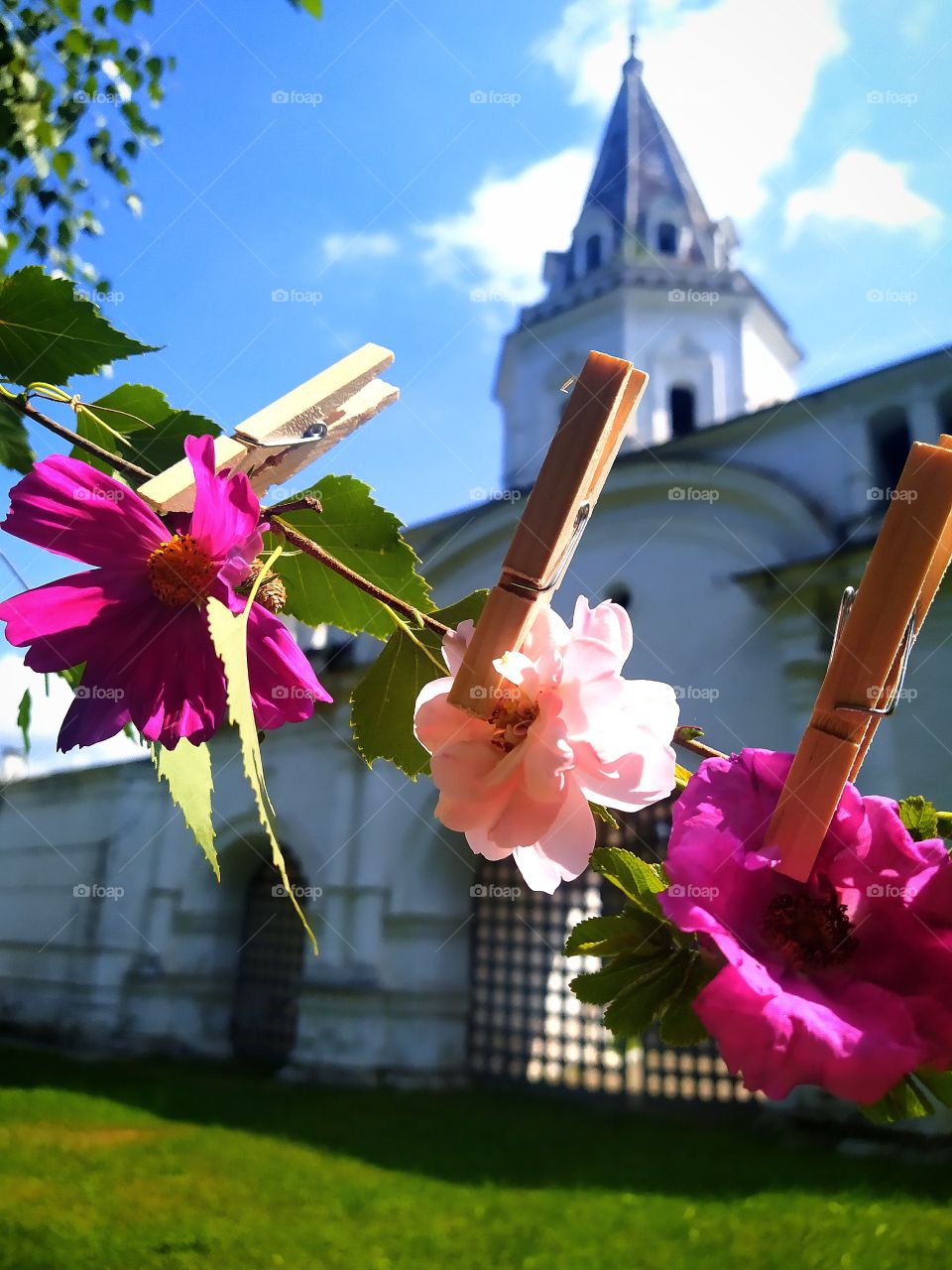 All shades of pink. Flowers of various shades of pink hang from a birch branch, attached with wooden clothespins. An old white fortress in the background