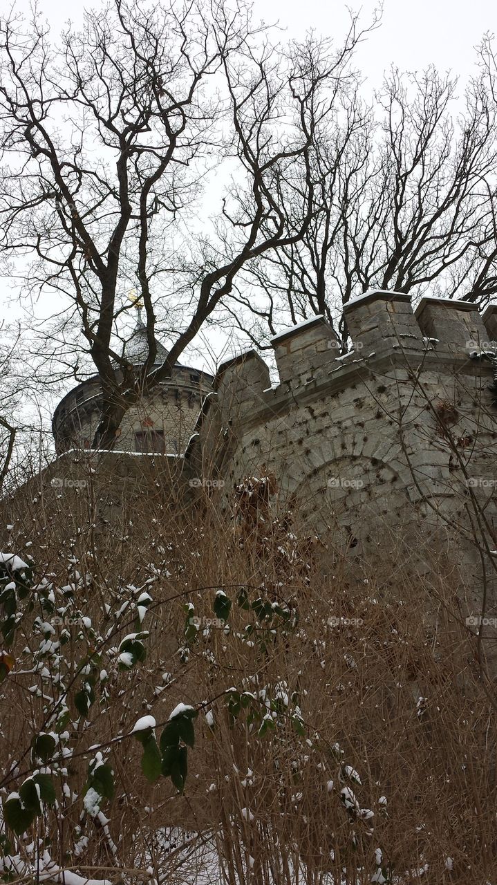 castle through trees