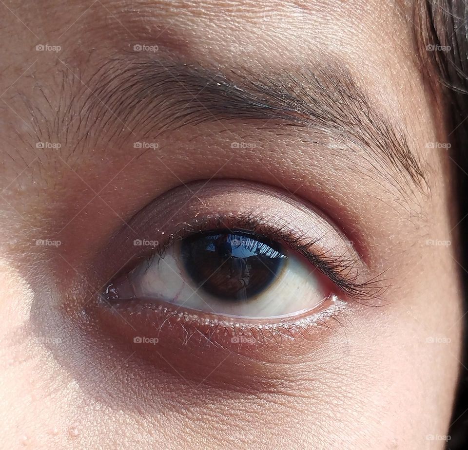 Eye brow and eye close up photo