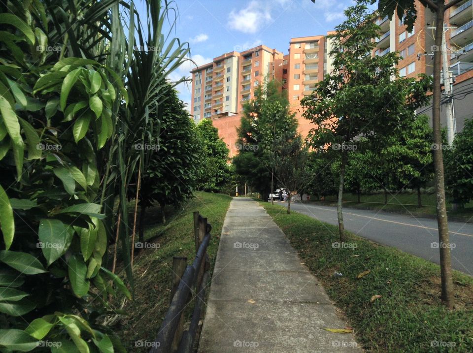 No Person, Outdoors, Street, Road, Tree