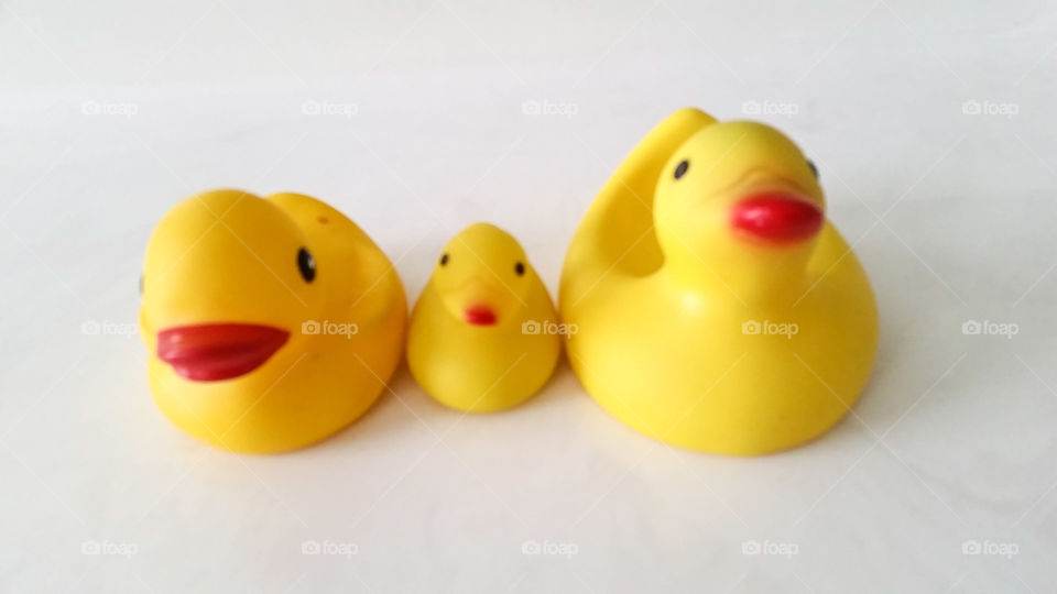 3 ducks