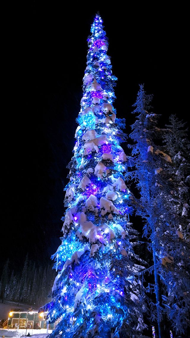Glowing With Christmas Joy ✨🎄✨
📍Silver Star, BC