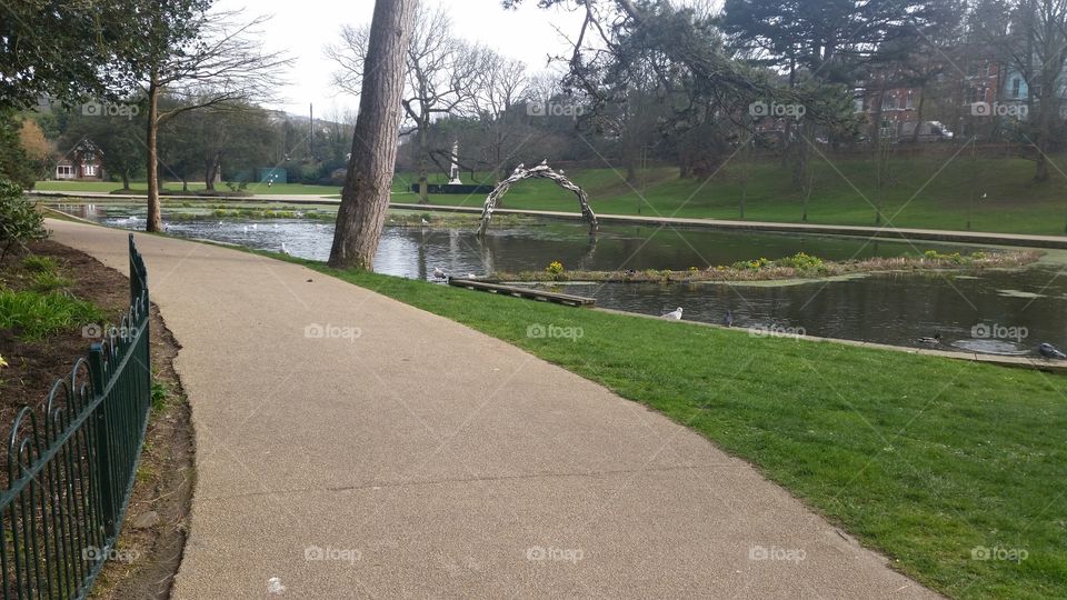 Landscape, Tree, Road, Park, Guidance
