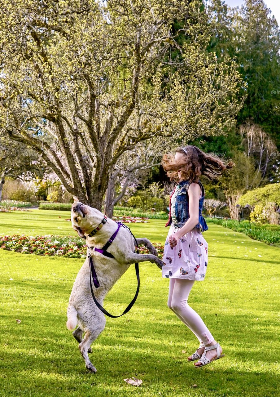 Girl dancing with her Labrador retriever 